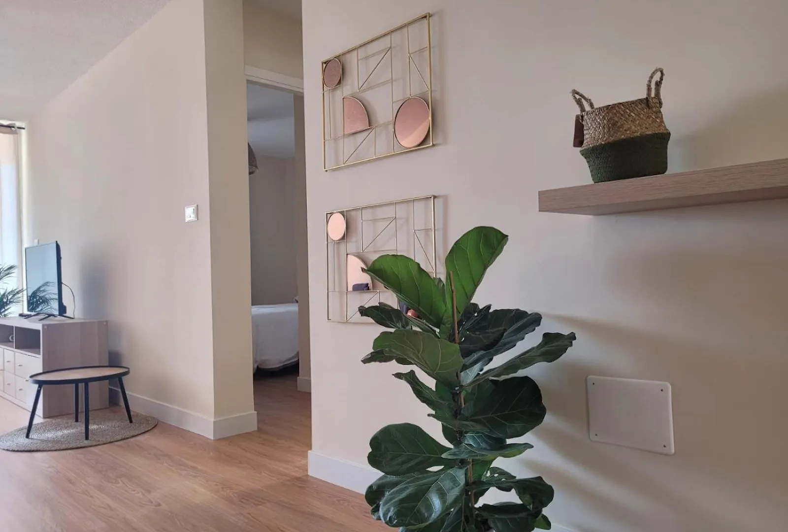 Teodoro Apartment La Laguna  Spain
